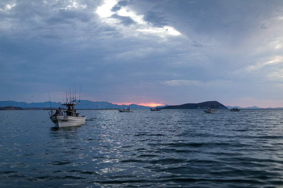 Booking Instructions, Fishing in Baja: Everything You Need to Know