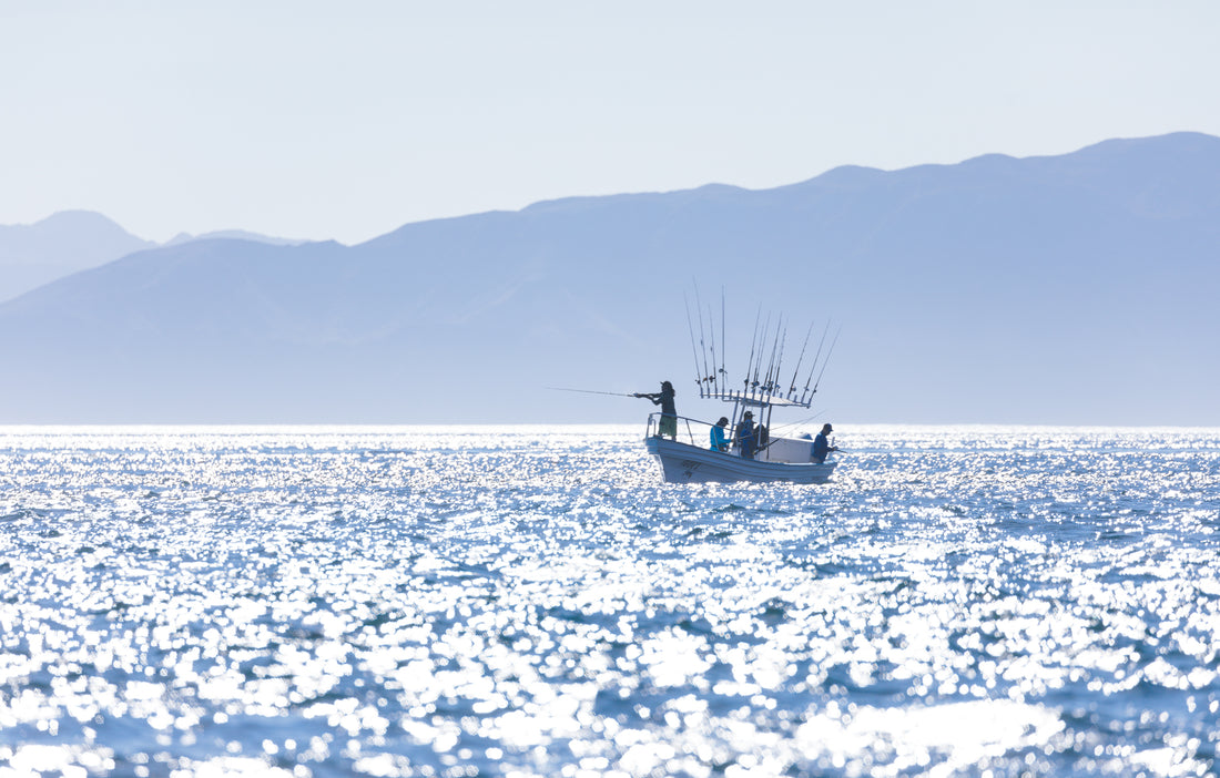 Baja Pescador: New Opportunity to Expand Impact