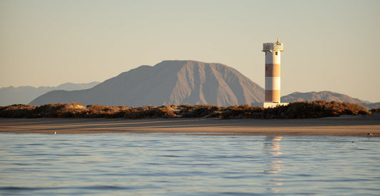 Bay Of Los Angeles: A Focus On Sustainability